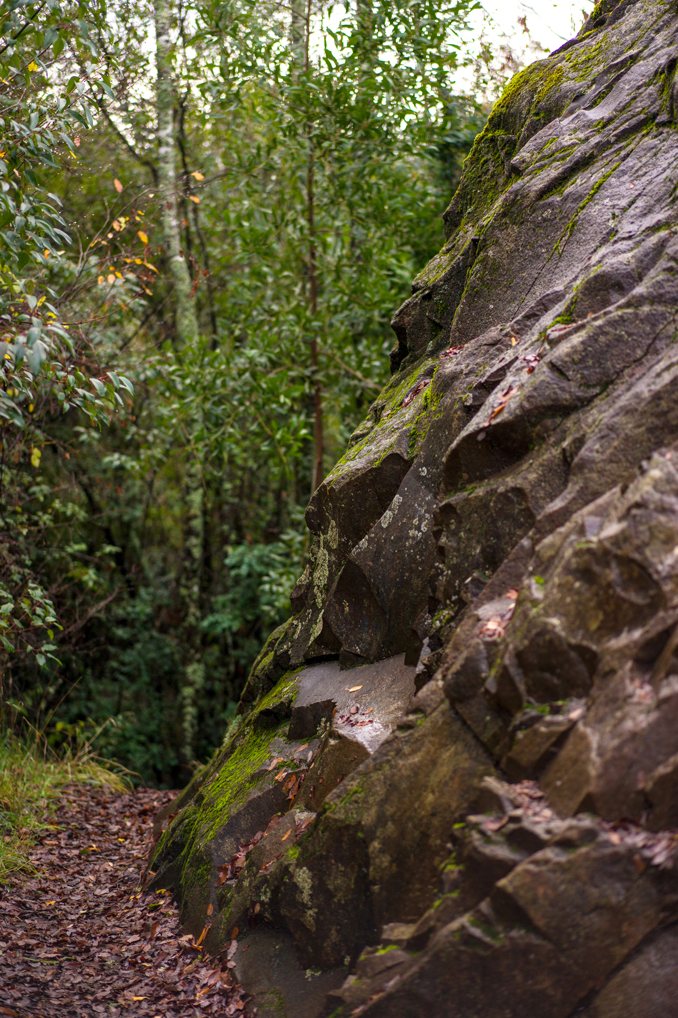 piedraretxicura_JoanaMazza_2024_02