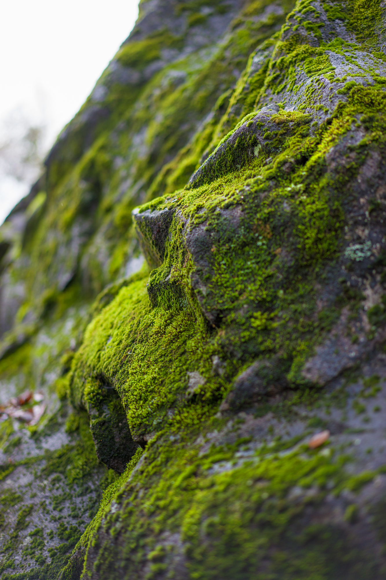 piedraretxicura_JoanaMazza_2024_08