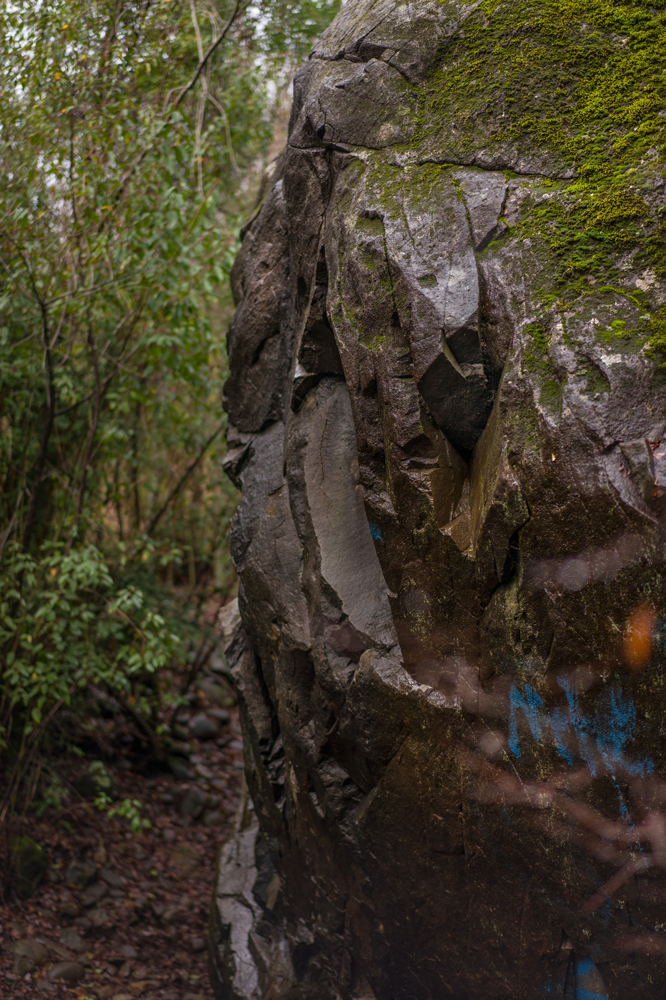 piedraretxicura_JoanaMazza_2024_16